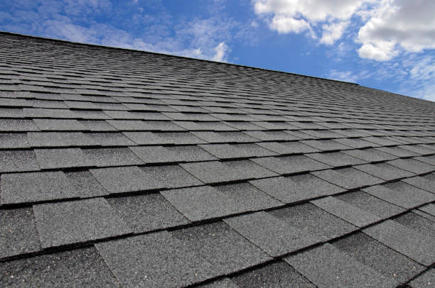 Best Sheet Metal Roofing  in Ligonier, IN